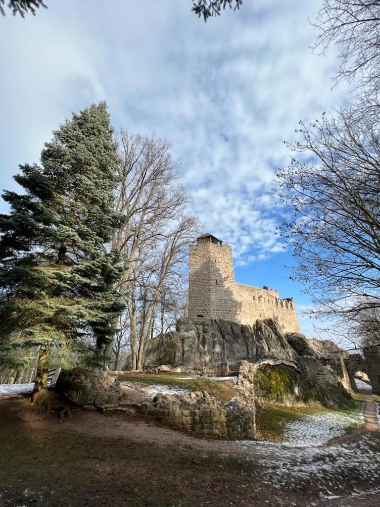 Bonne Idee - Suite Georgette - Meuble De Tourisme 3 Etoiles Châtenois 外观 照片